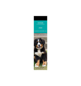 Allaluna Dogs 2026 Bookmark Calendar