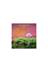 Allaluna Mushrooms 2026 7x7 Small Wall Calendar