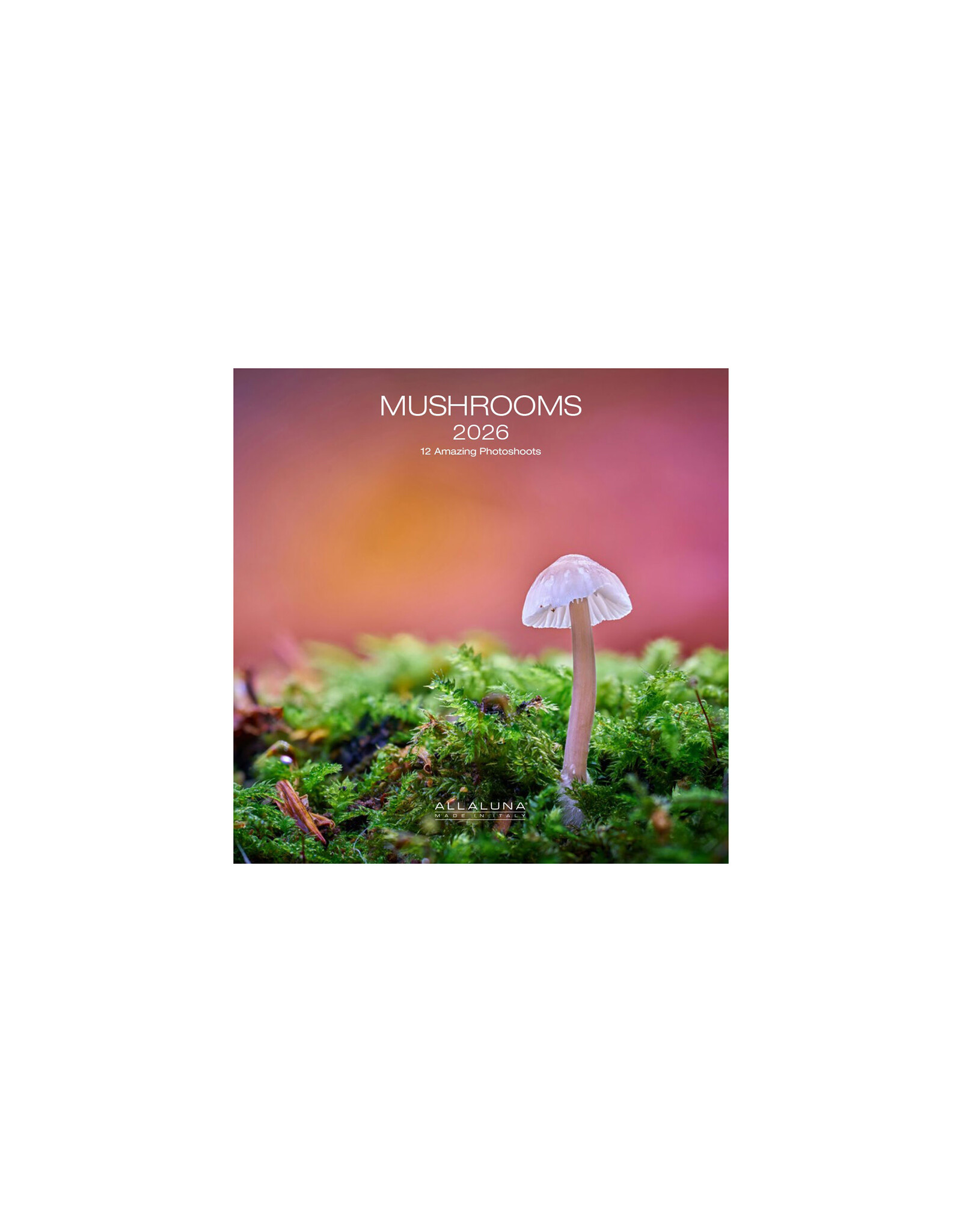 Allaluna Mushrooms 2026 7x7 Small Wall Calendar