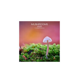 Allaluna Mushrooms 2026 7x7 Small Wall Calendar