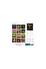 Allaluna Mushrooms 2026 7x7 Small Wall Calendar
