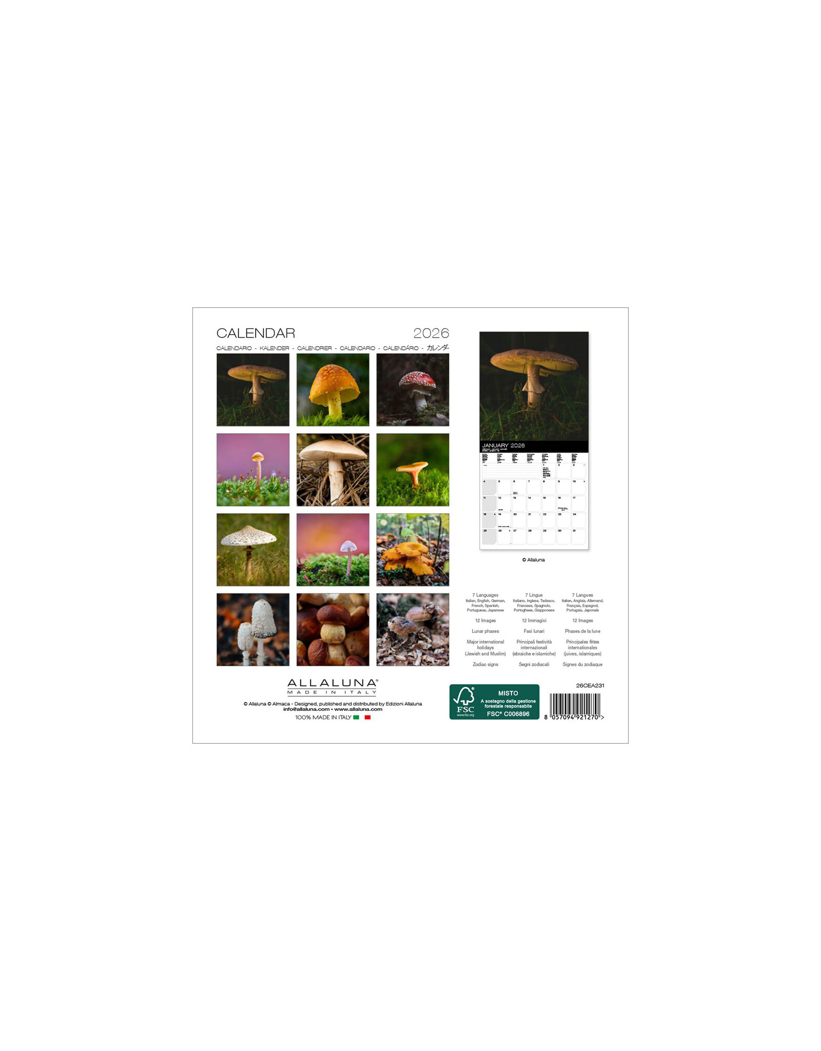 Allaluna Mushrooms 2026 7x7 Small Wall Calendar
