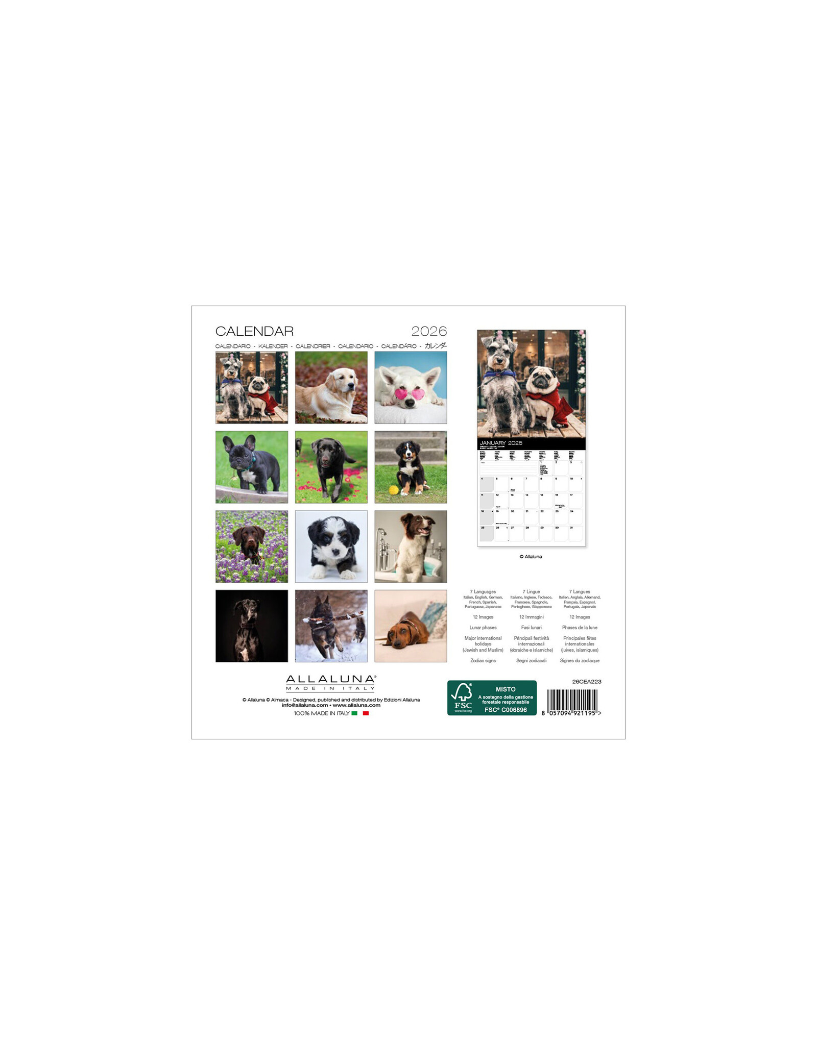 Allaluna Dogs 2026 7x7 Small Wall Calendar