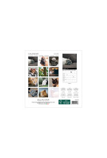 Allaluna Cats 2026 7x7 Small Wall Calendar