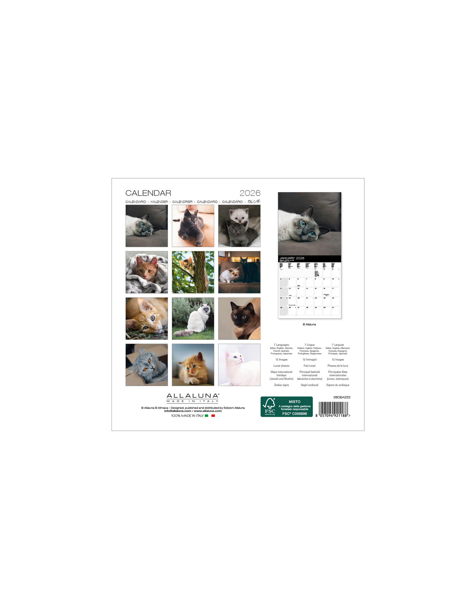 Allaluna Cats 2026 7x7 Small Wall Calendar