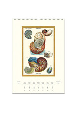 Cavallini Papers & Co. 2026 Wall Calendar Sea Life