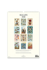 Cavallini Papers & Co. 2026 Wall Calendar Sea Life