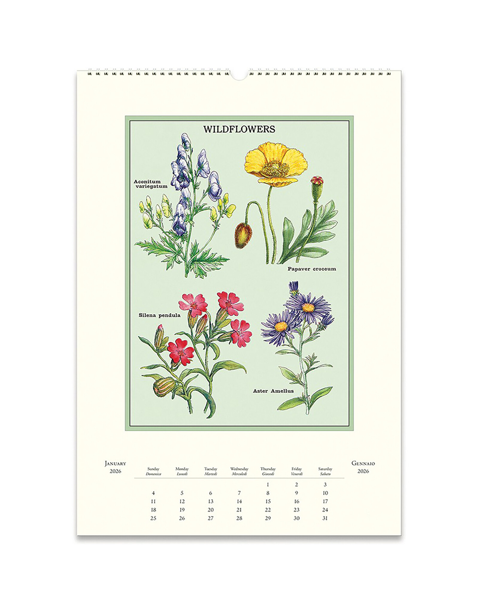 Cavallini Papers & Co. 2026 Wall Calendar Wildflowers