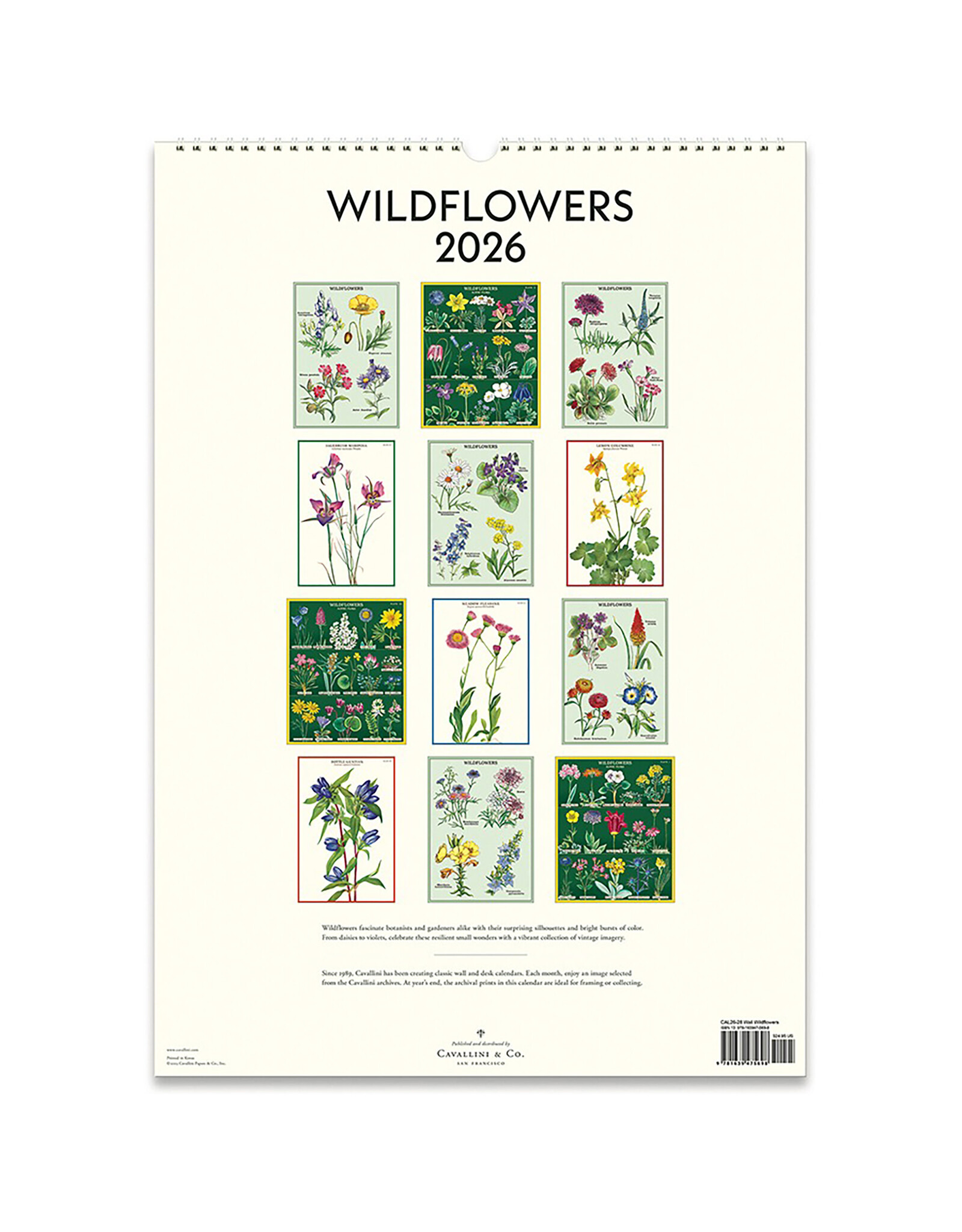 Cavallini Papers & Co. 2026 Wall Calendar Wildflowers