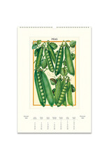 Cavallini Papers & Co. 2026 Wall Calendar Farmer's Market