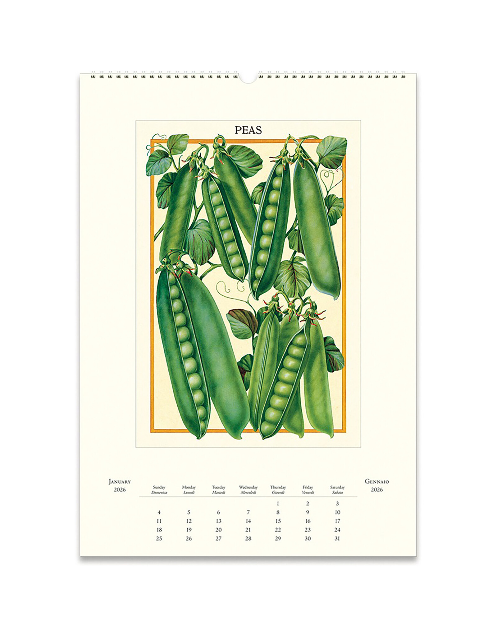 Cavallini Papers & Co. 2026 Wall Calendar Farmer's Market