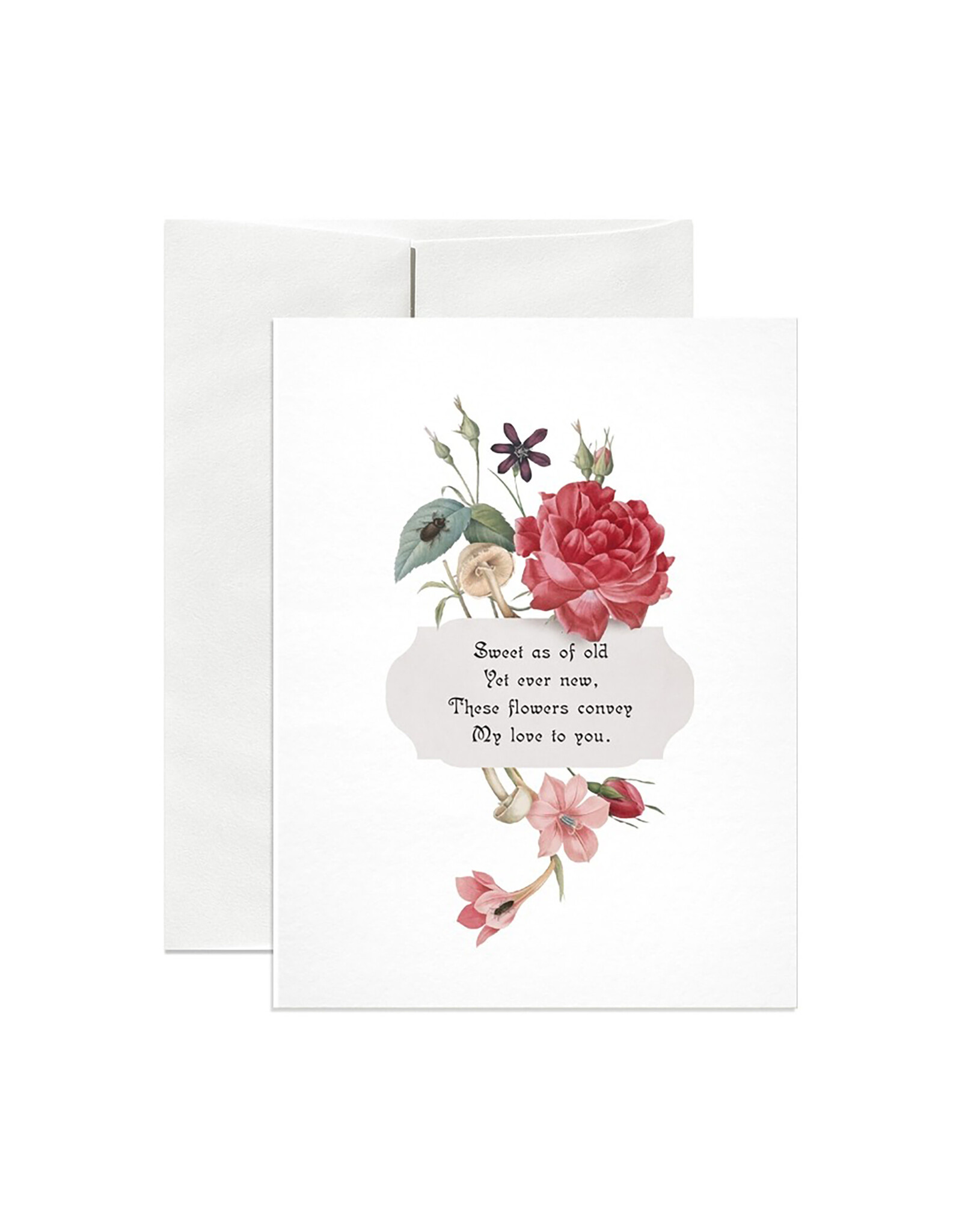 Open Sea Design Co. Victorian A2 Love Greeting Card