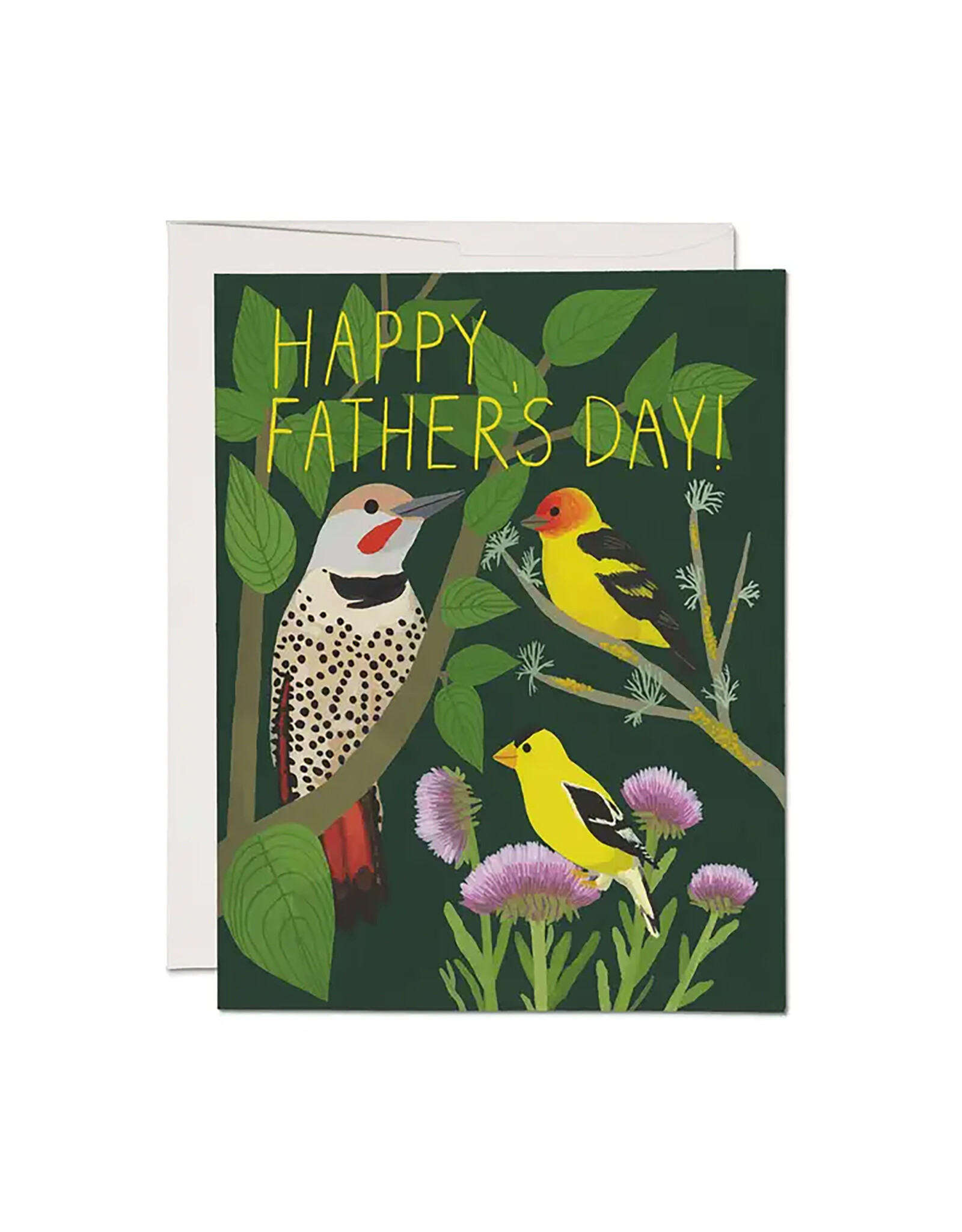 Red Cap Cards Bird Watching A2 Greeting Card