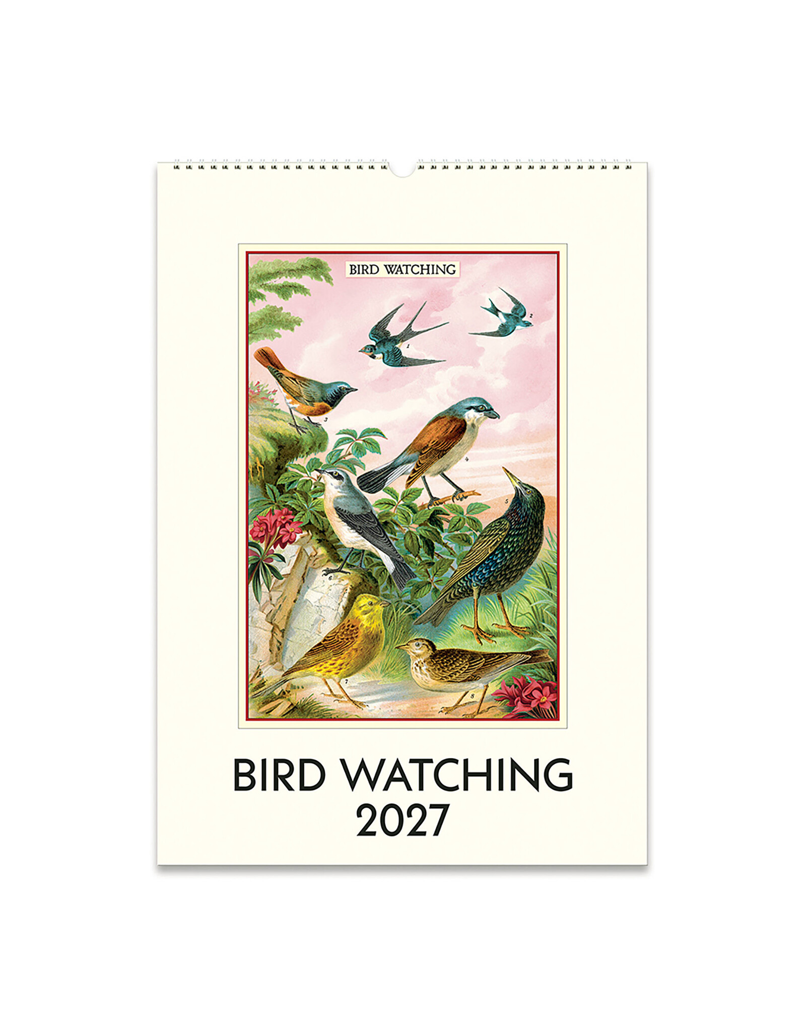 Cavallini Papers & Co. 2027 Wall Calendar Bird Watching