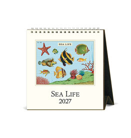 Cavallini Papers & Co. 2027 Desk Calendar Sea Life