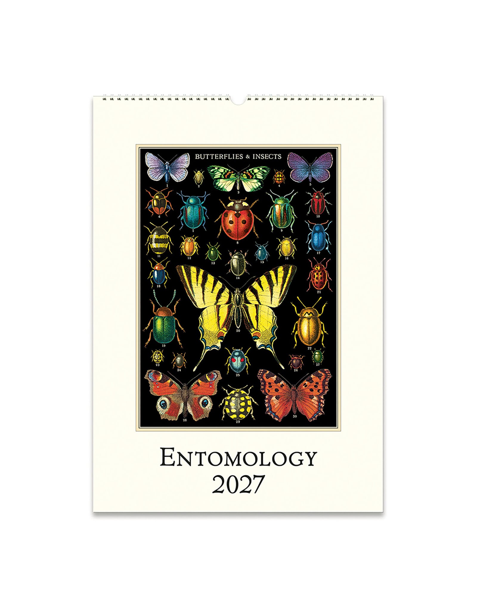 Cavallini Papers & Co. 2027 Wall Calendar Entomology