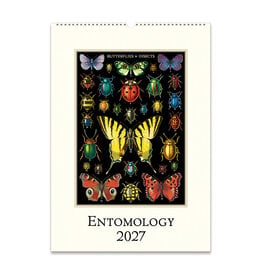 Cavallini Papers & Co. 2027 Wall Calendar Entomology