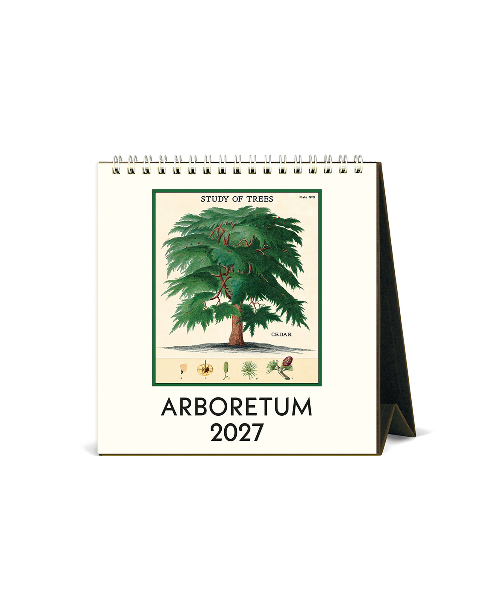 Cavallini Papers & Co. 2027 Desk Calendar Arboretum