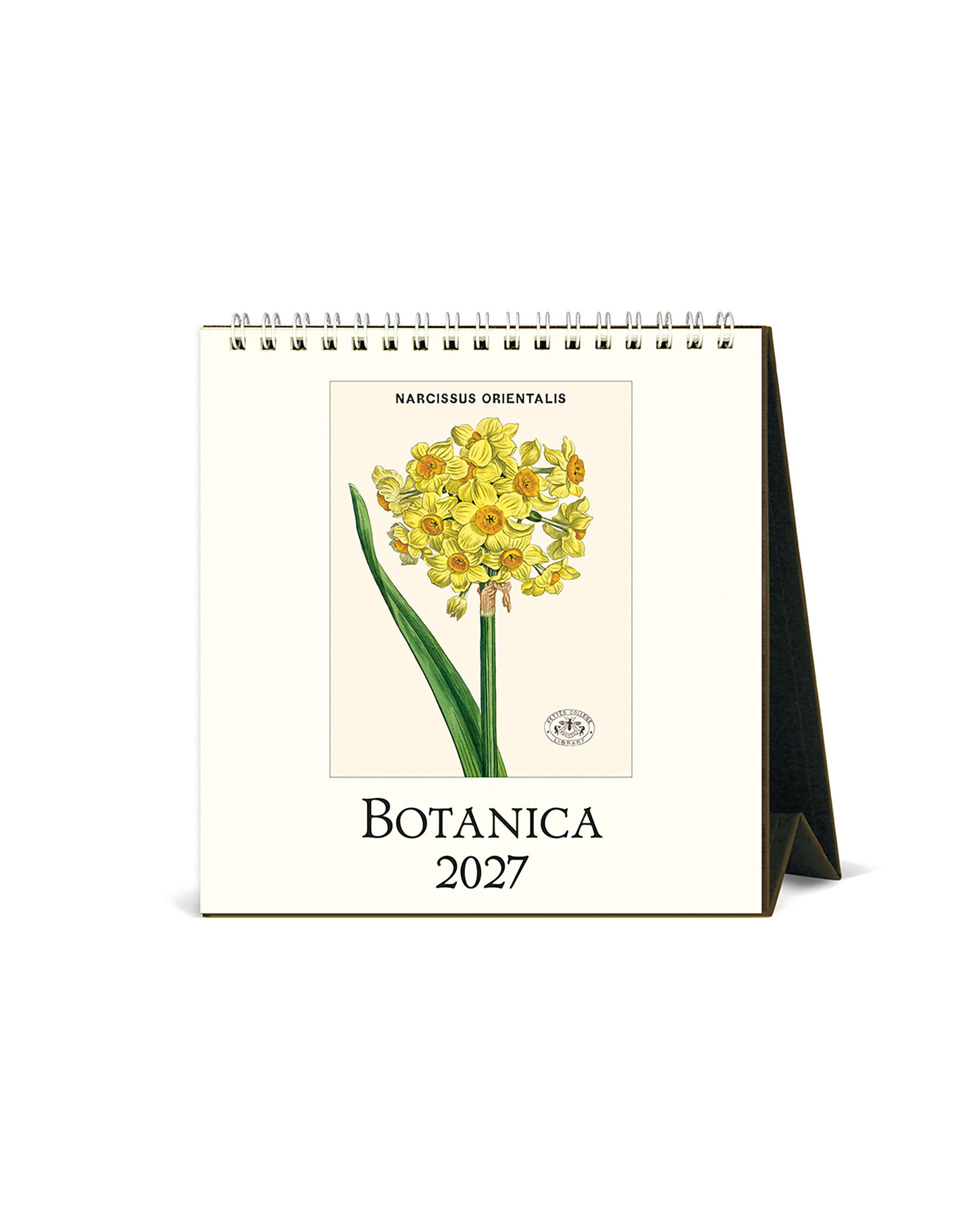 Cavallini Papers & Co. 2027 Desk Calendar Botanica