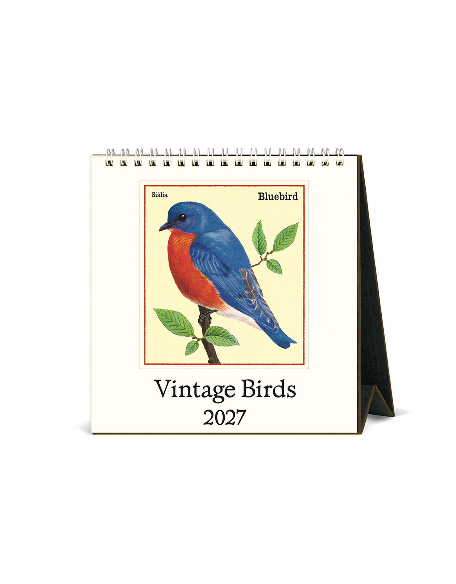 Cavallini Papers & Co. 2027 Desk Calendar Vintage Birds