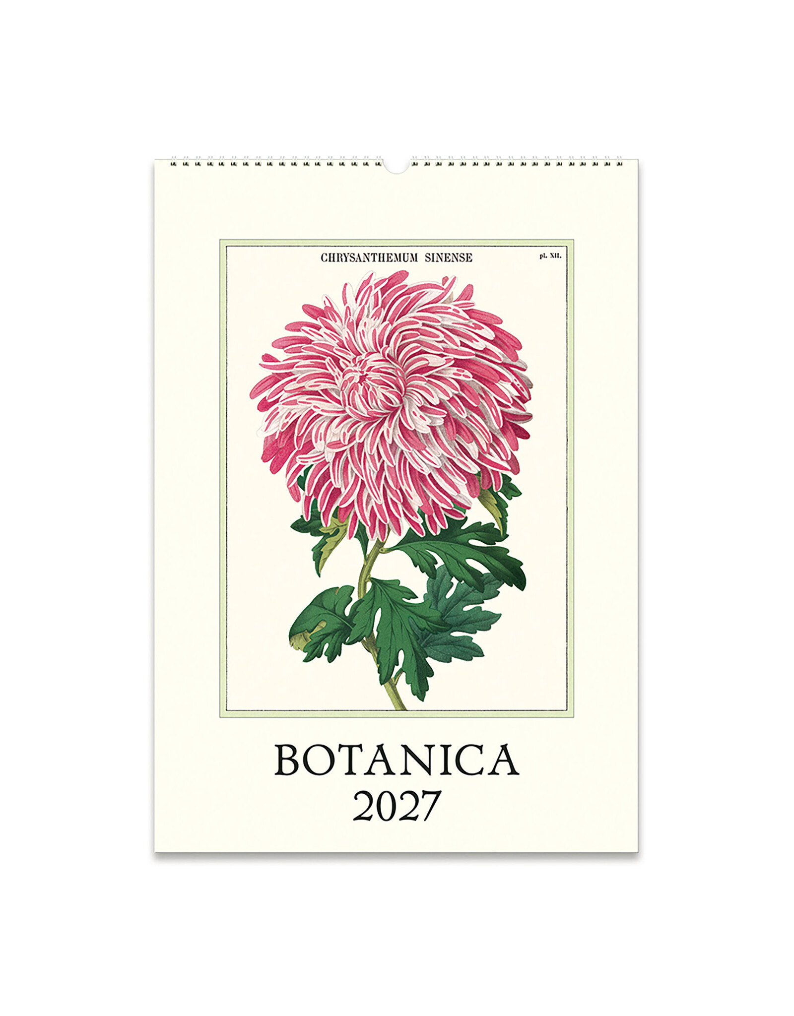 Cavallini Papers & Co. 2027 Wall Calendar Botanica