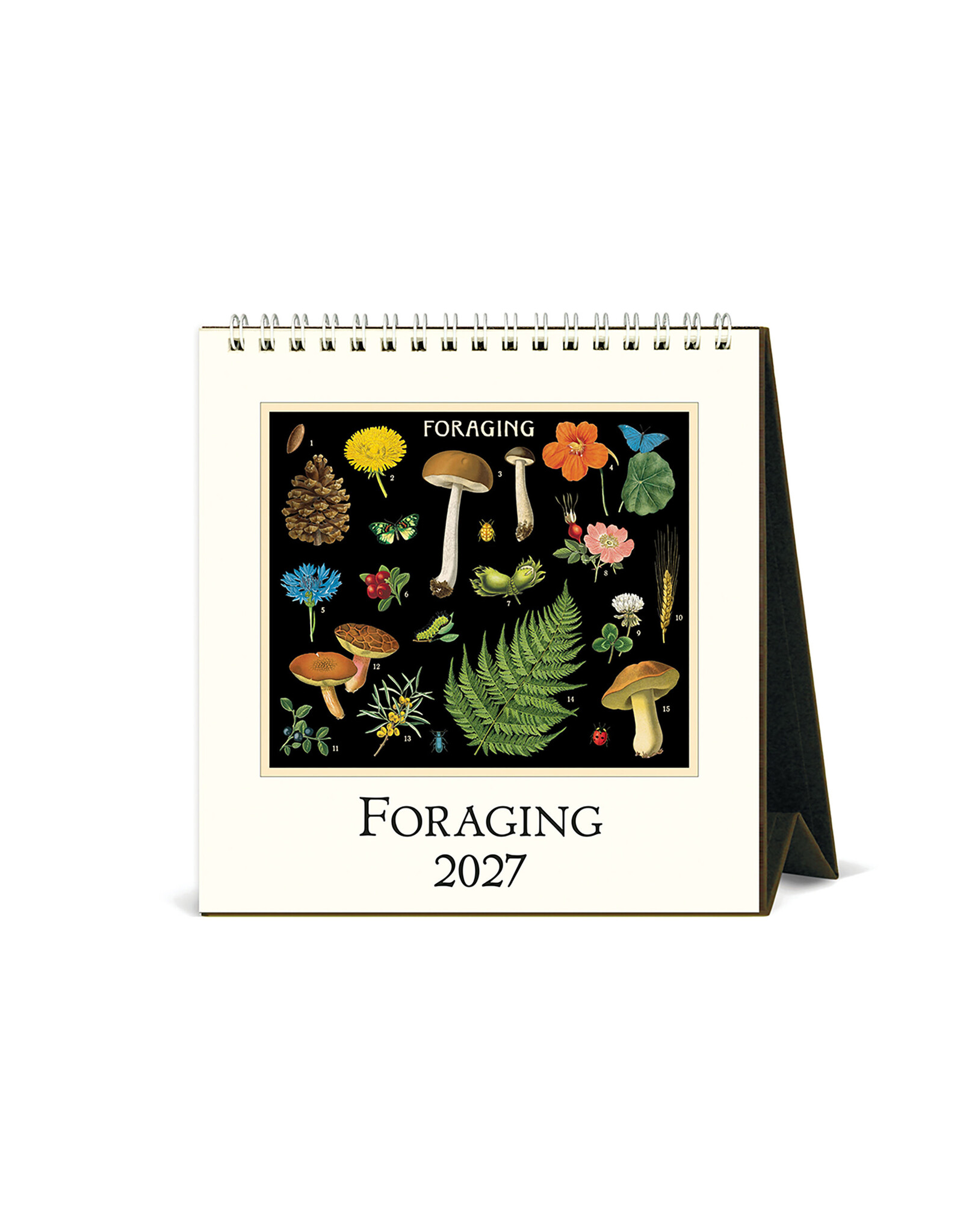 Cavallini Papers & Co. 2027 Desk Calendar Foraging
