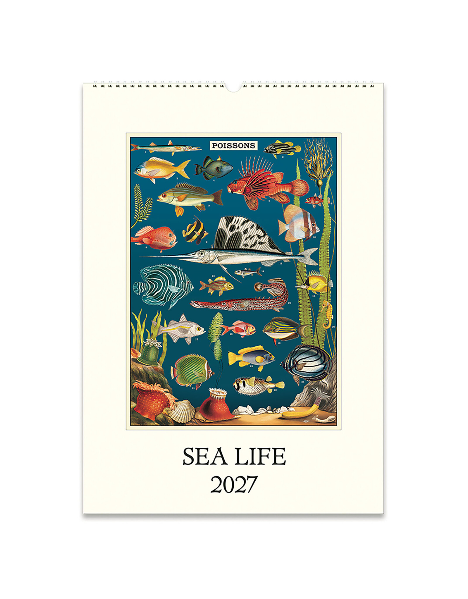 Cavallini Papers & Co. 2027 Wall Calendar Sea Life