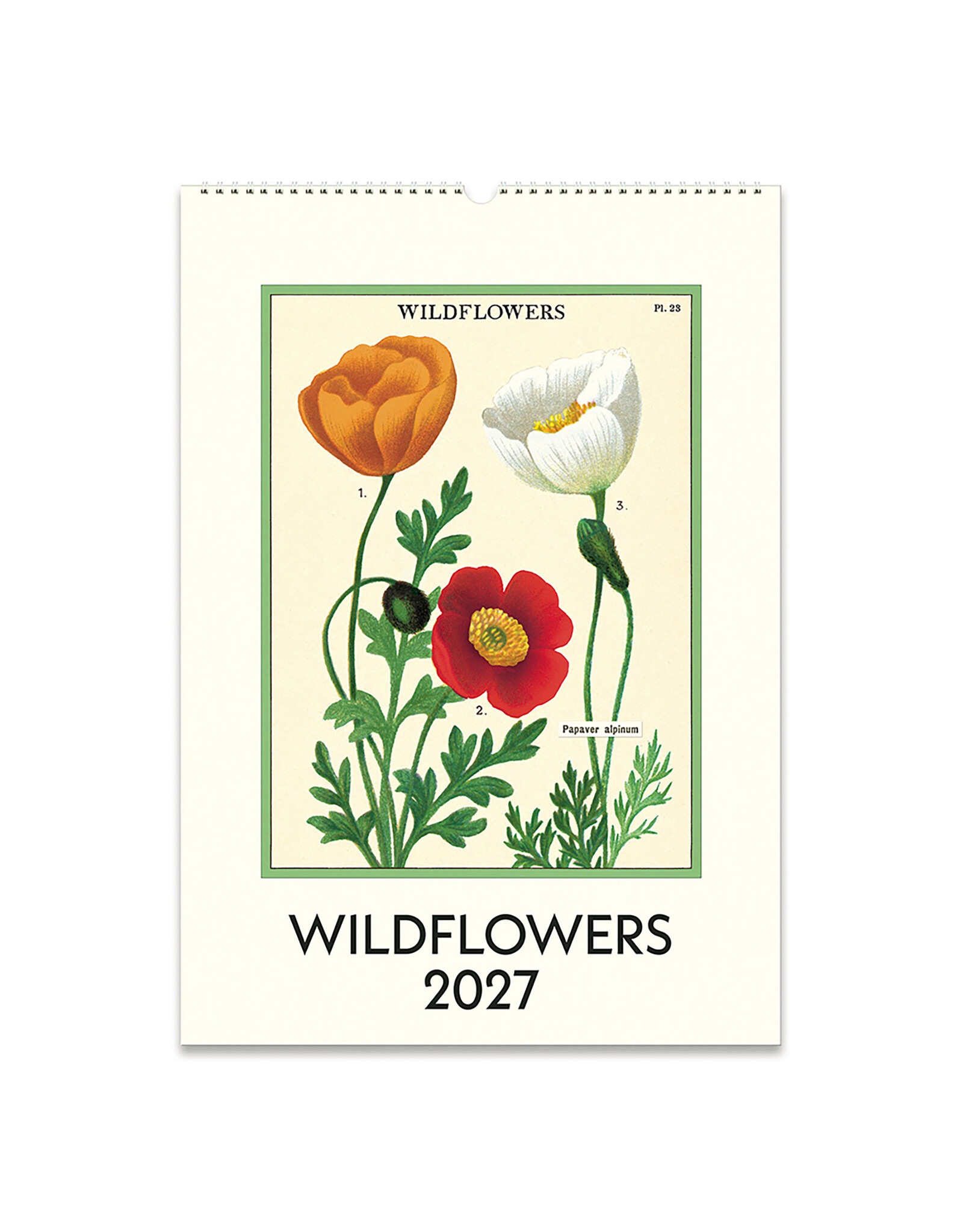 Cavallini Papers & Co. 2027 Wall Calendar Wildflowers