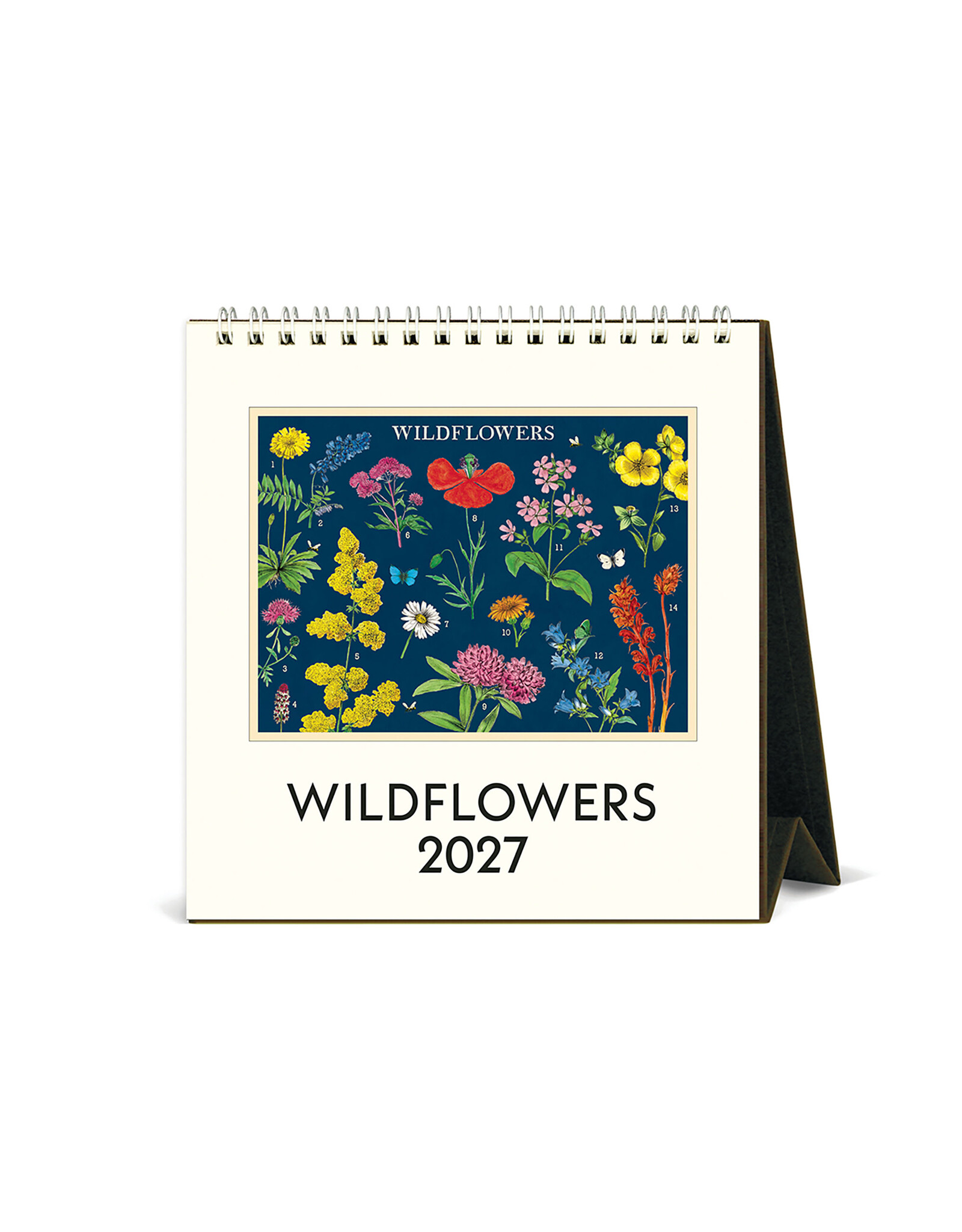 Cavallini Papers & Co. 2027 Desk Calendar Wildflowers