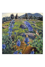 Pomegranate Phyllis Shafer: Nature Divine 2027 Wall Calendar
