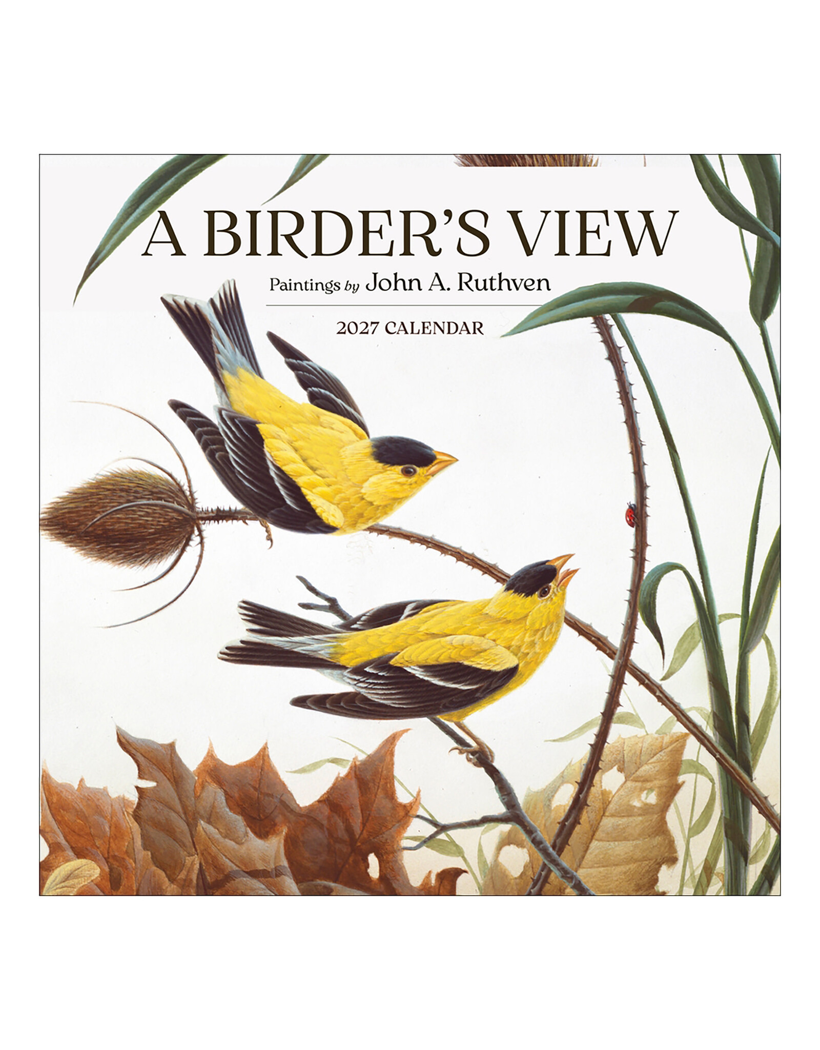 Pomegranate Birder's View: Paintings by John A. Ruthven 2027 Wall Calendar
