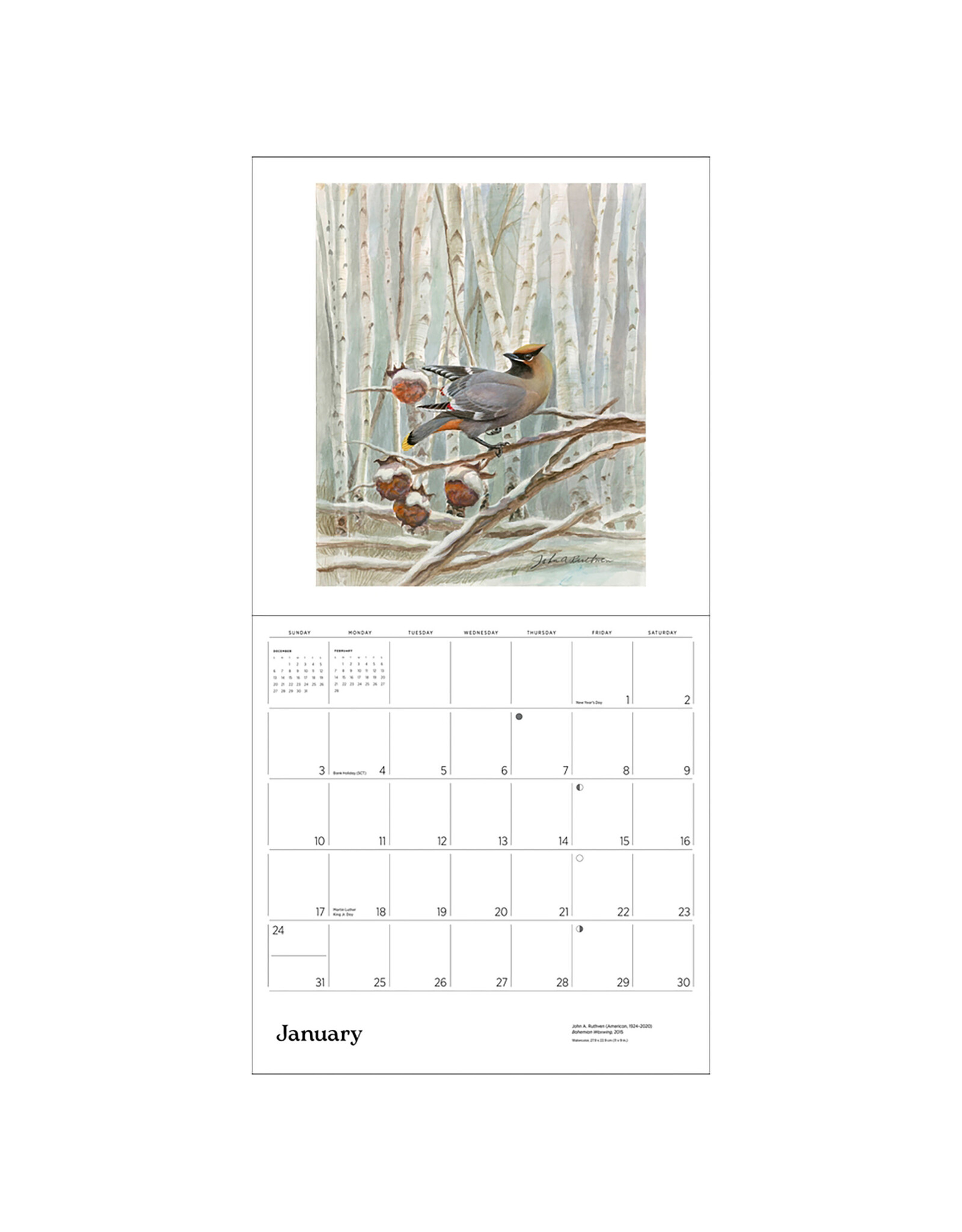 Pomegranate Birder's View: Paintings by John A. Ruthven 2027 Wall Calendar