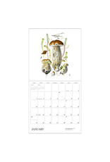 Pomegranate Mushrooms: Alexander Viazmensky 2027 Wall Calendar