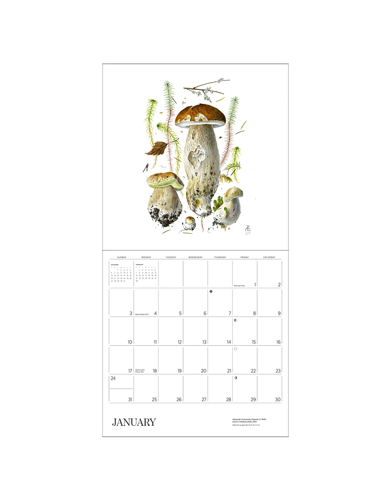 Pomegranate Mushrooms: Alexander Viazmensky 2027 Wall Calendar