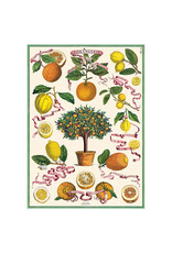 Cavallini Papers & Co. Wrap L'Orangerie