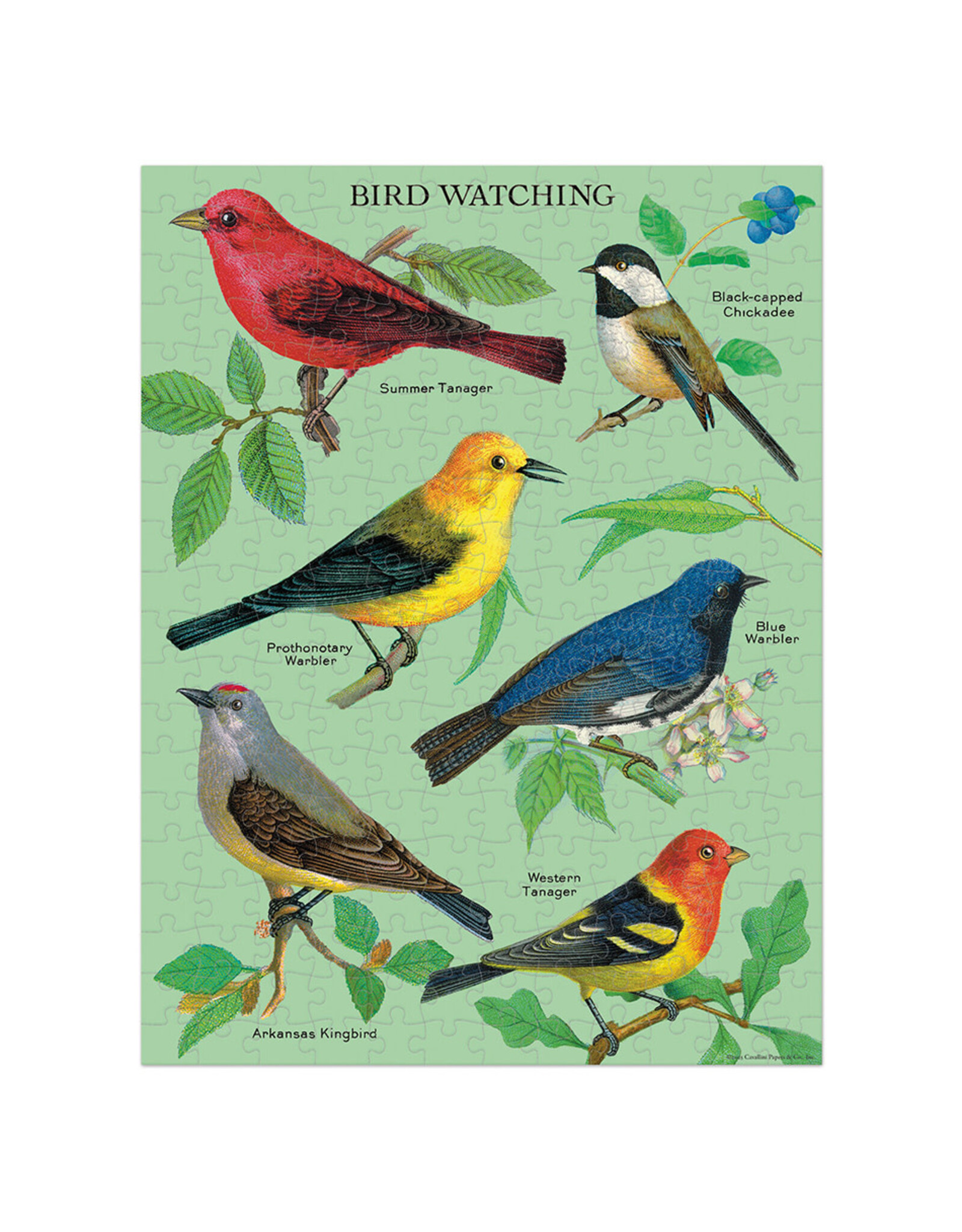 Cavallini Papers & Co. Bird Watching Mini Puzzle 240 Pcs