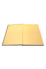 The Rodin Museum of Paris, Collectors' Limited Edition