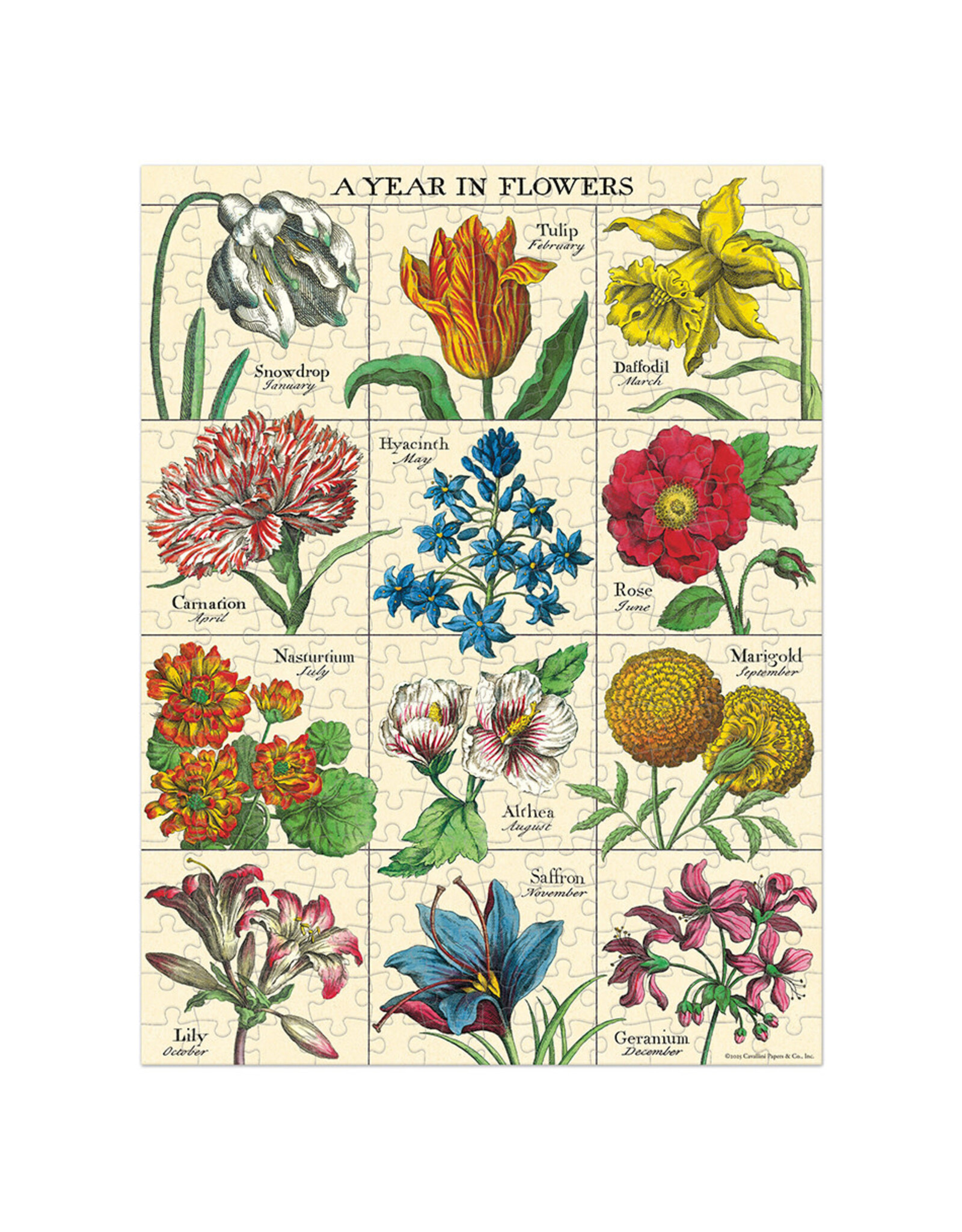 Cavallini Papers & Co. A Year in Flowers Mini Puzzle 240 Pcs