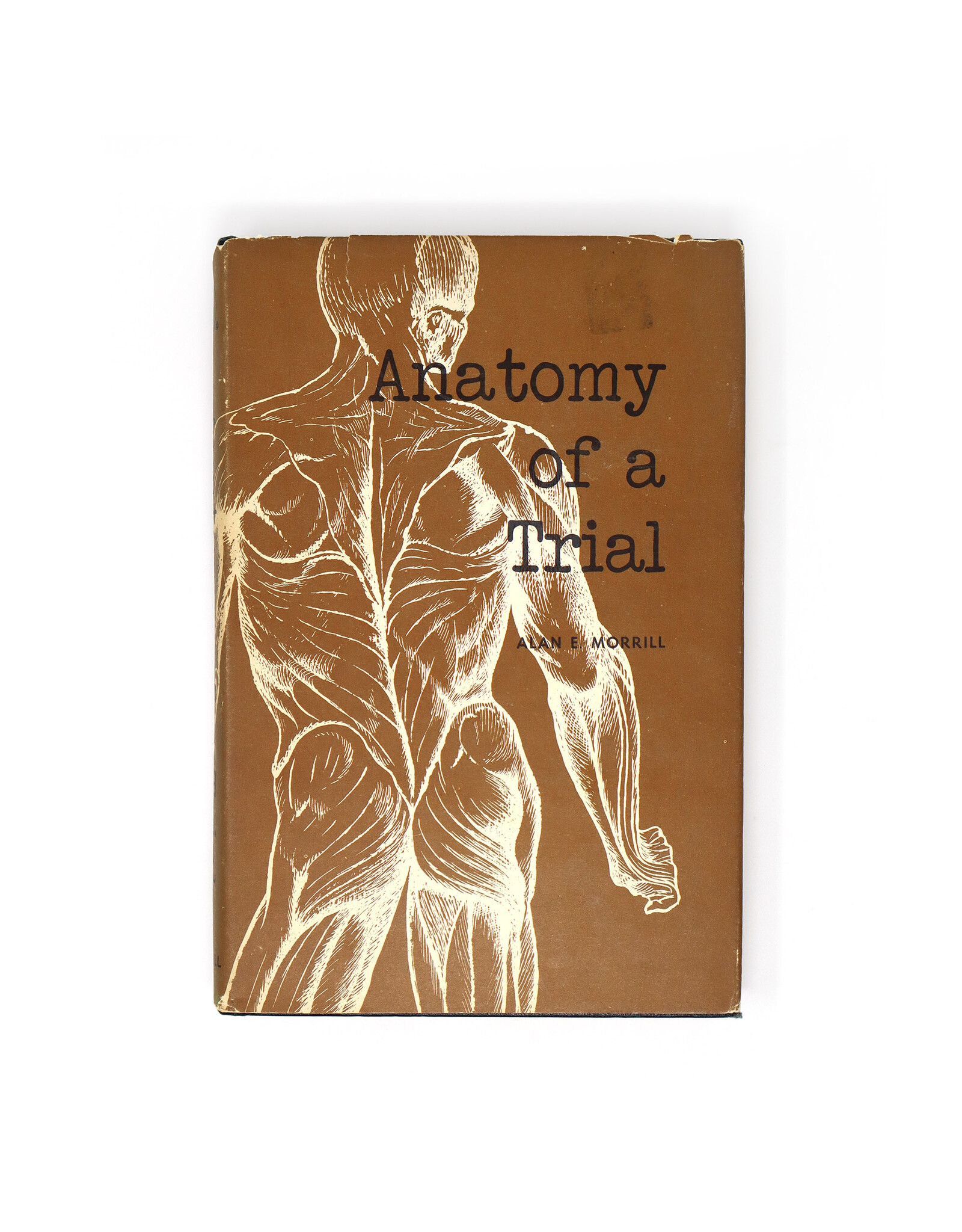 Anatomy of a Trial