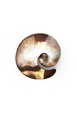 Taxco Sterling Spiral Art Brooch