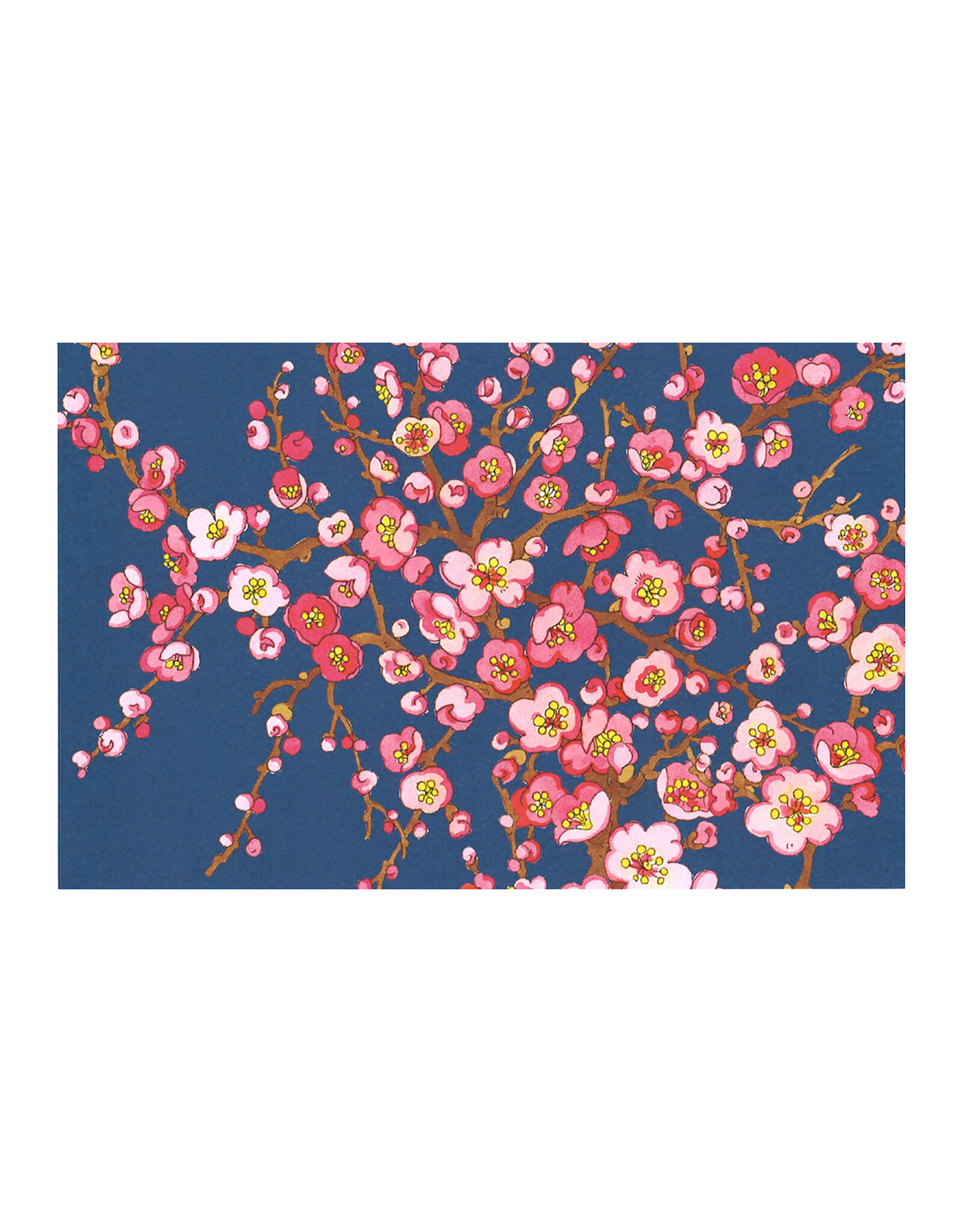 Fukui Asahido Co., Ltd. Sakura Blue Base Blank A7 Notecard