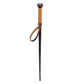 Watch Cane