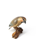 Hand-Painted Hand-Carved Bird on Piece of Wood