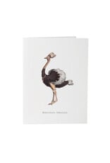 Tokyomilk Absolutely Fabulous Greeting Card