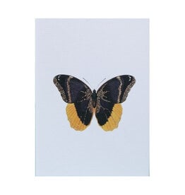 Tokyomilk Butterfly Greeting Card