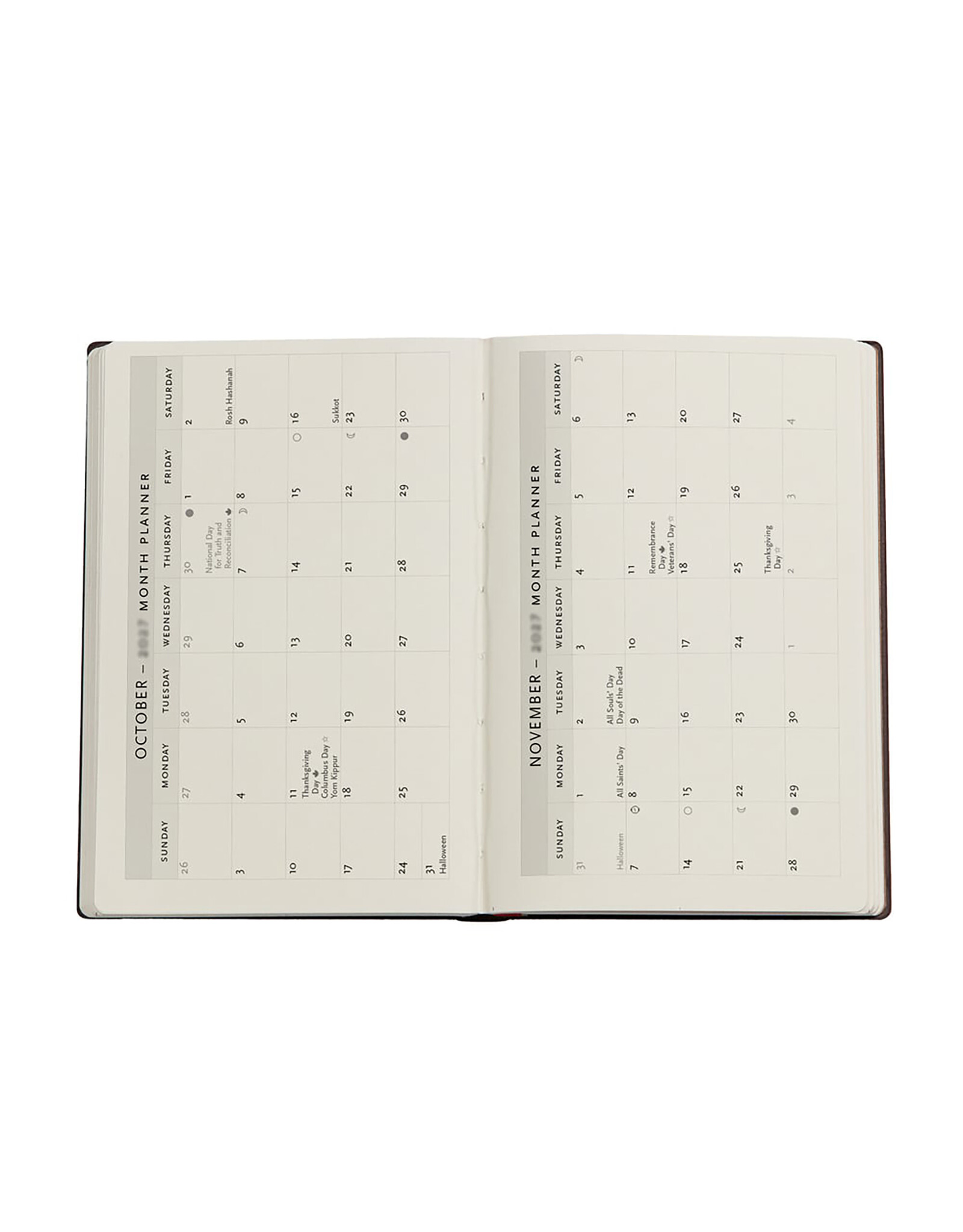 Paperblanks 2027 Shadows of Navarre 12-Month Hardcover Daily Planner Mini