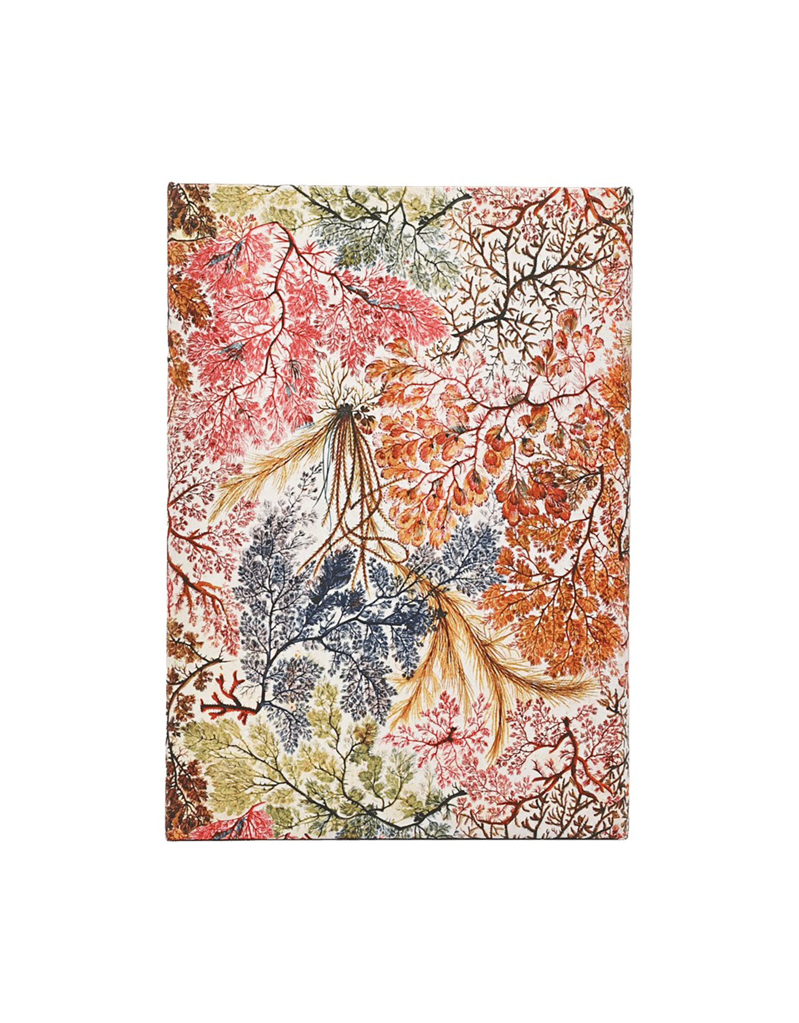 Paperblanks 2027 Anemone 12-Month Hardcover Weekly Planner Midi Vertical