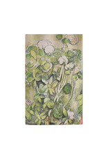 Paperblanks 2027 Cezanne's Terracotta Pots and Flowers 12-Month Hardcover Daily Planner Midi