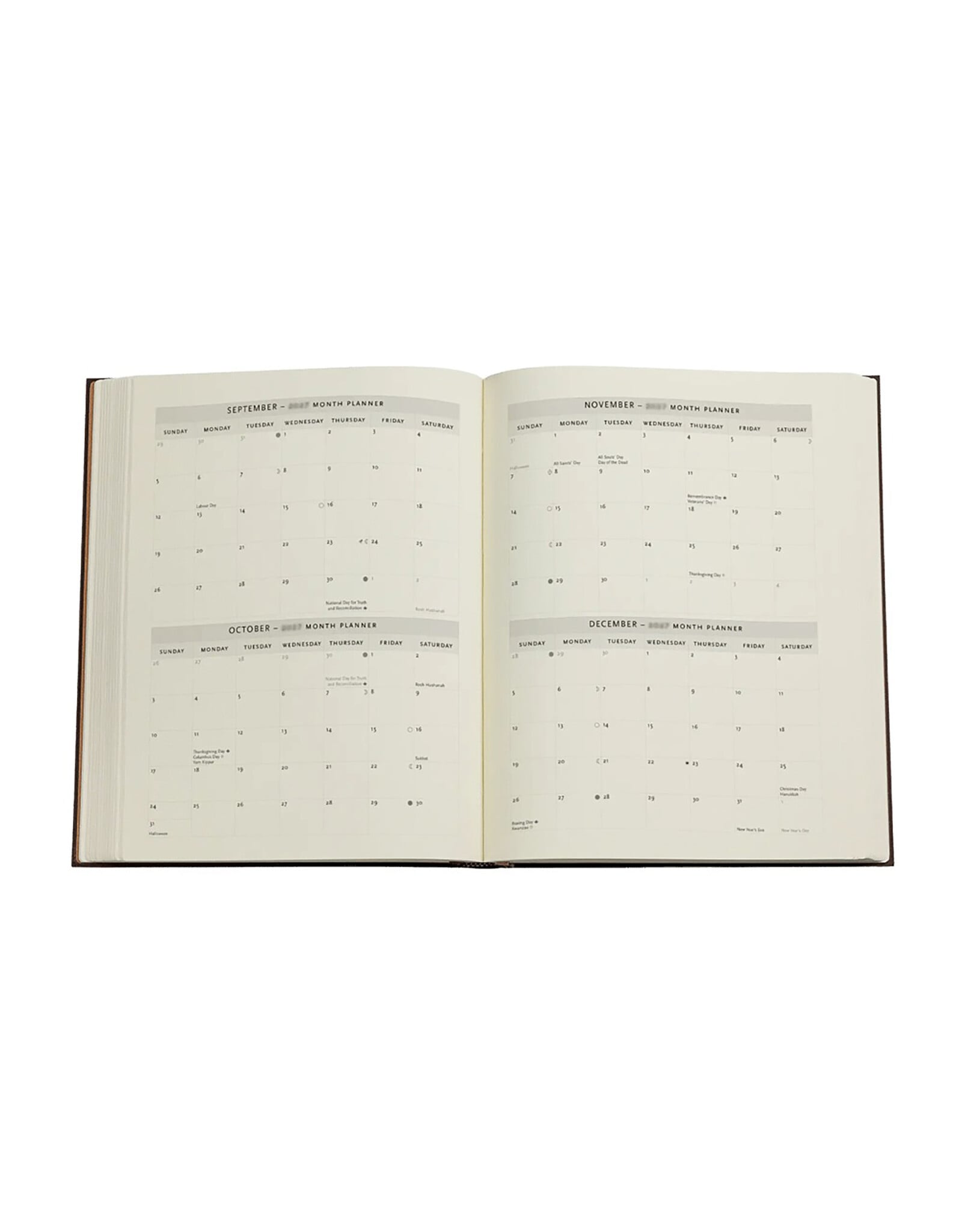 Paperblanks 2027 Mimosa 12-Month Softcover Weekly Planner Ultra Vertical