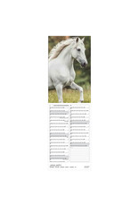 Allaluna 2027 Horses 6 x 19 Wall Calendar